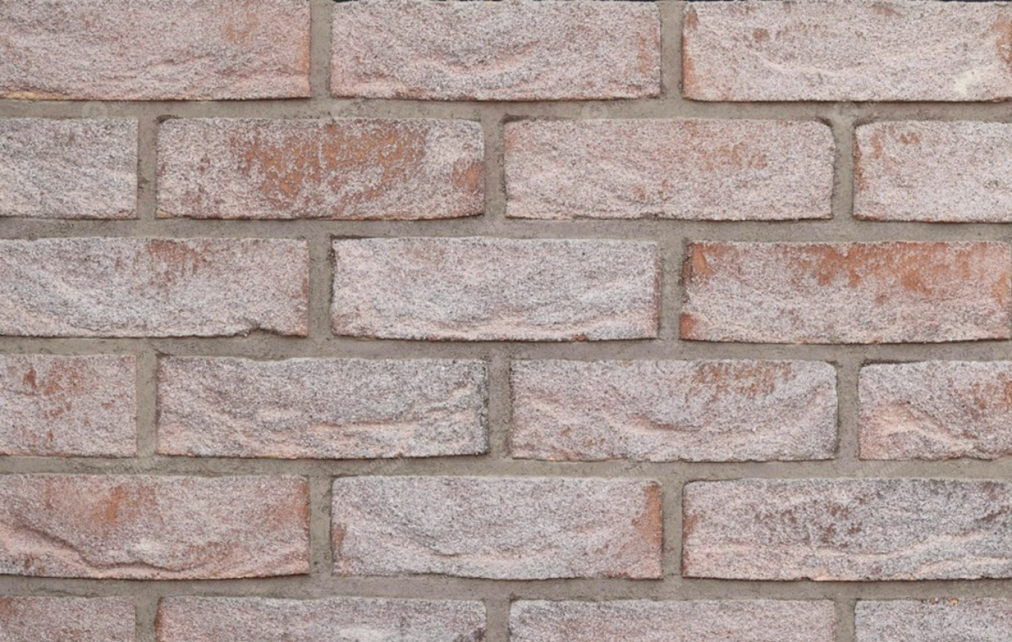 ШАМПАЙН WDF полнотелый