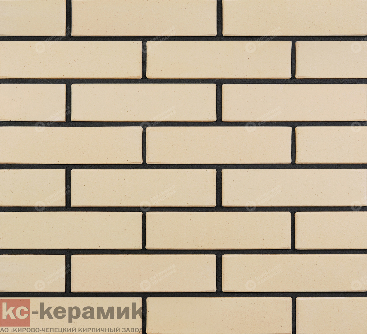 ЛОТОС ГЛАДКИЙ 1НФ полнотелый 