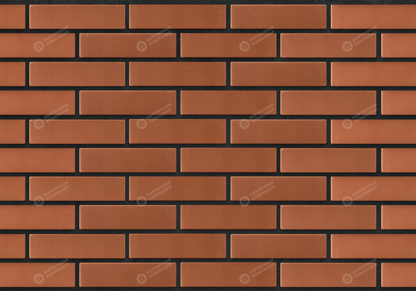 КЛАССИК 1НФ пустотелый