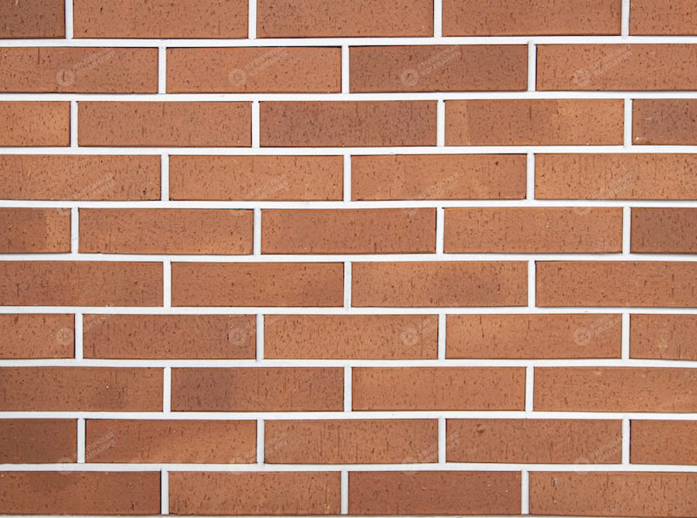 КРАСНЫЙ КАРЕ WDF пустотелый