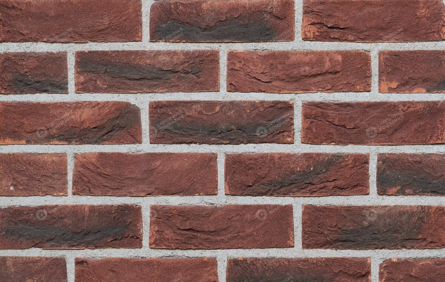 МОНС WDF полнотелый