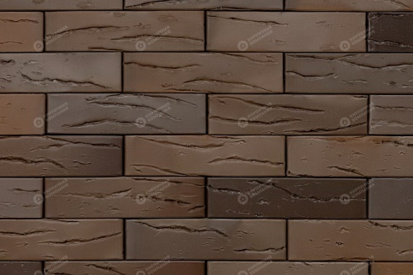 ДАРТ ФЛЭШ КОРА ДУБА 1НФ пустотелый