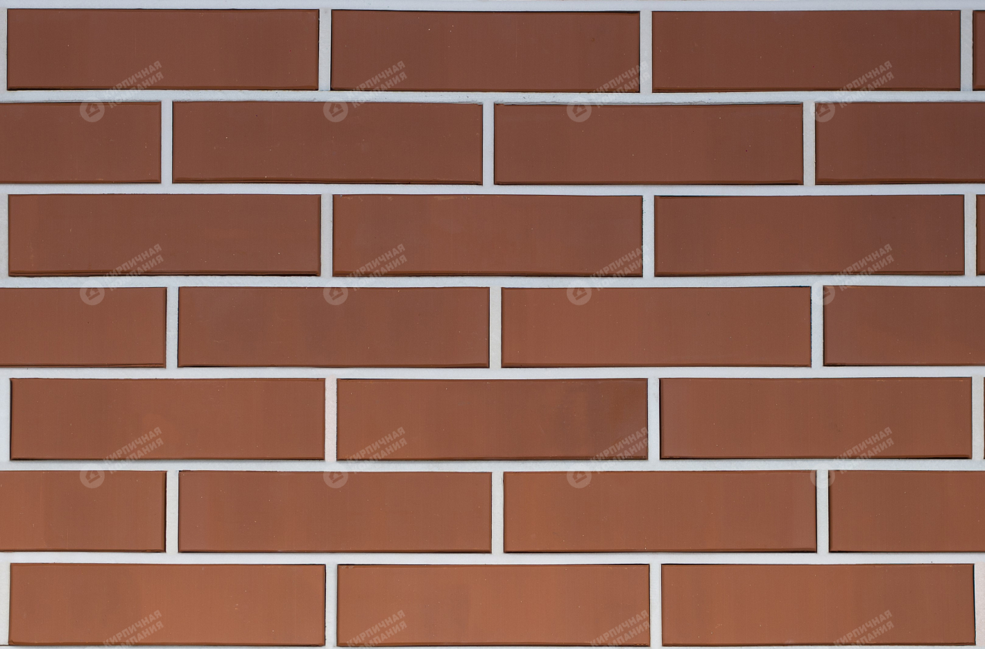 ТЕРРАКОТ СВЕТЛЫЙ ГЛАДКИЙ 1НФ пустотелый